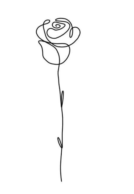 Rosa decorativa
